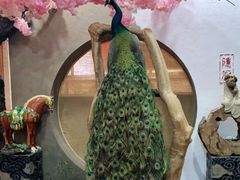 -隐厨·海鲜餐厅(恒通路店)