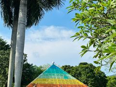 -东南花都花博园