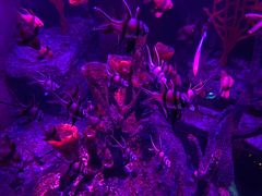 -沈阳海洋探索中心