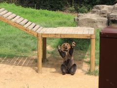 -杭州野生动物世界