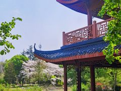 -堤角公园