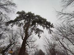 -终南山南五台景区