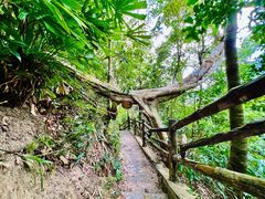 -海南热带雨林国家公园吊罗山景区