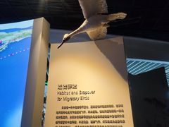 -上海长江河口科技馆