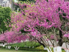 -重庆中央公园(渝北区)