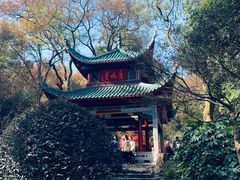 -岳麓山风景名胜区