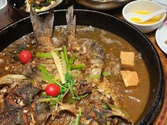 -老板恋上鱼(恒隆广场店)