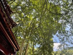 -青城山