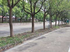 -安飞驰驾校·学车连锁(金高店)