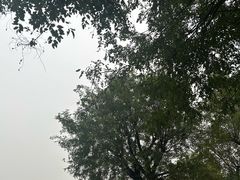 -汉长安城未央宫国家考古遗址公园