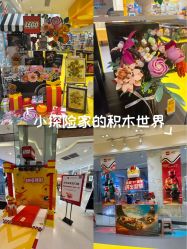 -乐高授权专卖店(朝阳大悦城店)