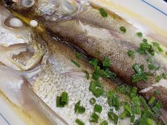 清蒸鲜白鱼-锡和无锡菜(景丽苑店)