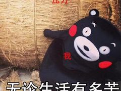 -胖哥俩肉蟹煲(爱琴海购物公园店)