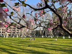 -东南大学(四牌楼校区)