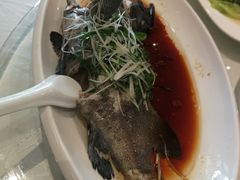 -大东海海鲜酒楼(渔人码头总店)