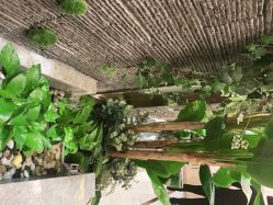 -芳朵美容养生SPA