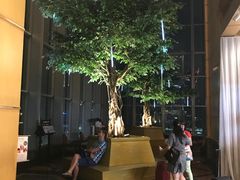 -彩虹云霄酒店76&78层国际自助餐