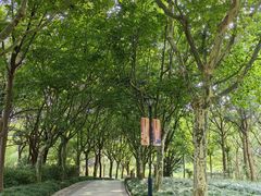 -东方绿舟景区