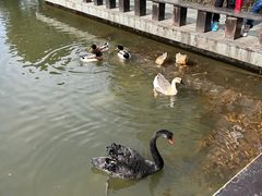 -天目湖涵田半山温泉