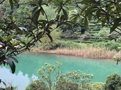 -九龙潭景区