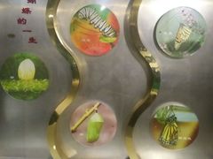 -上海昆虫博物馆