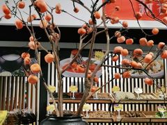 -饭怕鱼(阳光100店)