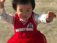 -合肥滨湖国家森林公园