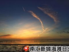 -南汇新城海滩