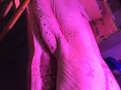 -大星发农发地农副产品批发市场-停车场