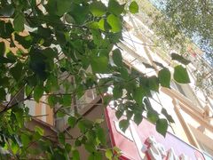 -春饼小吃(钱塘街店)
