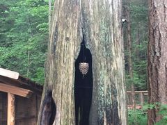 -悬崖栈道