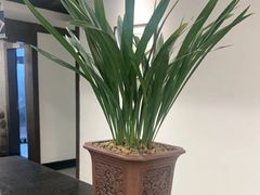 -皇城老妈·大连海鲜火锅(港湾店)