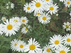 -沣东·沣河生态景区