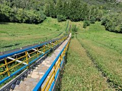 -原山国家森林公园