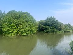 -梁鸿国家湿地公园
