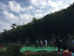-宁波浙东大竹海景区