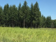 -塞罕坝国家级自然保护区