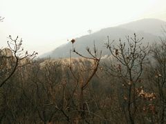 -嵩山少林文化旅游景区