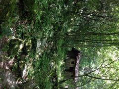 iphone_upload_pic-神农架香溪源景区