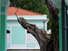 -龙环葡韵住宅式博物馆