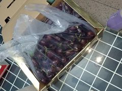 -双福水果批发市场