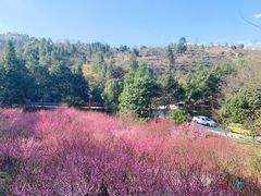 -湖南嵩云山国家森林公园