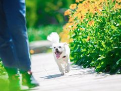 -北京恒爱动物医院(清景园分院)