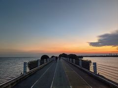 -贡湖湾湿地公园