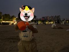 -天鹅湖体育公园