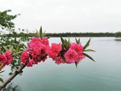 -颐和园