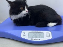 -拜鲁耶动物诊疗中心·宠家动物医院