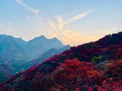 -水峪民俗村