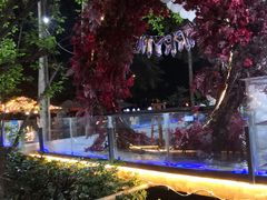 -二荆条·蜀鲜汇城市森林火锅