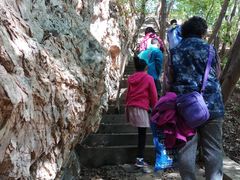 -大连天门山国家森林公园